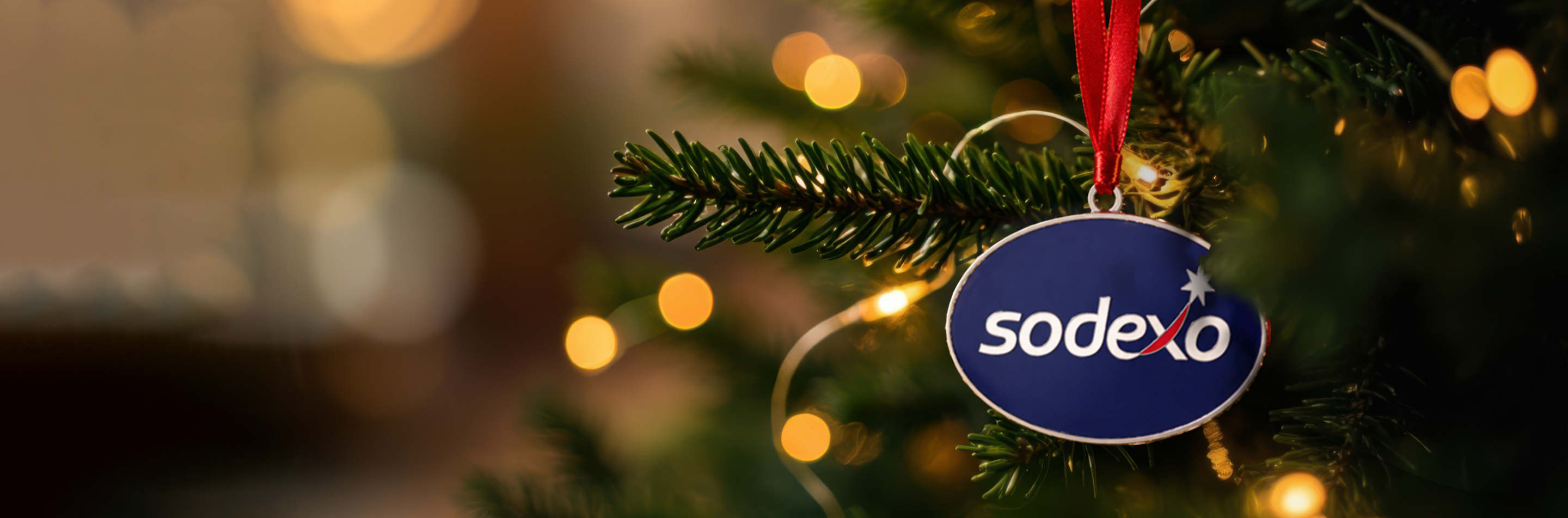 Banner image - Sodexo Holiday Ornaments