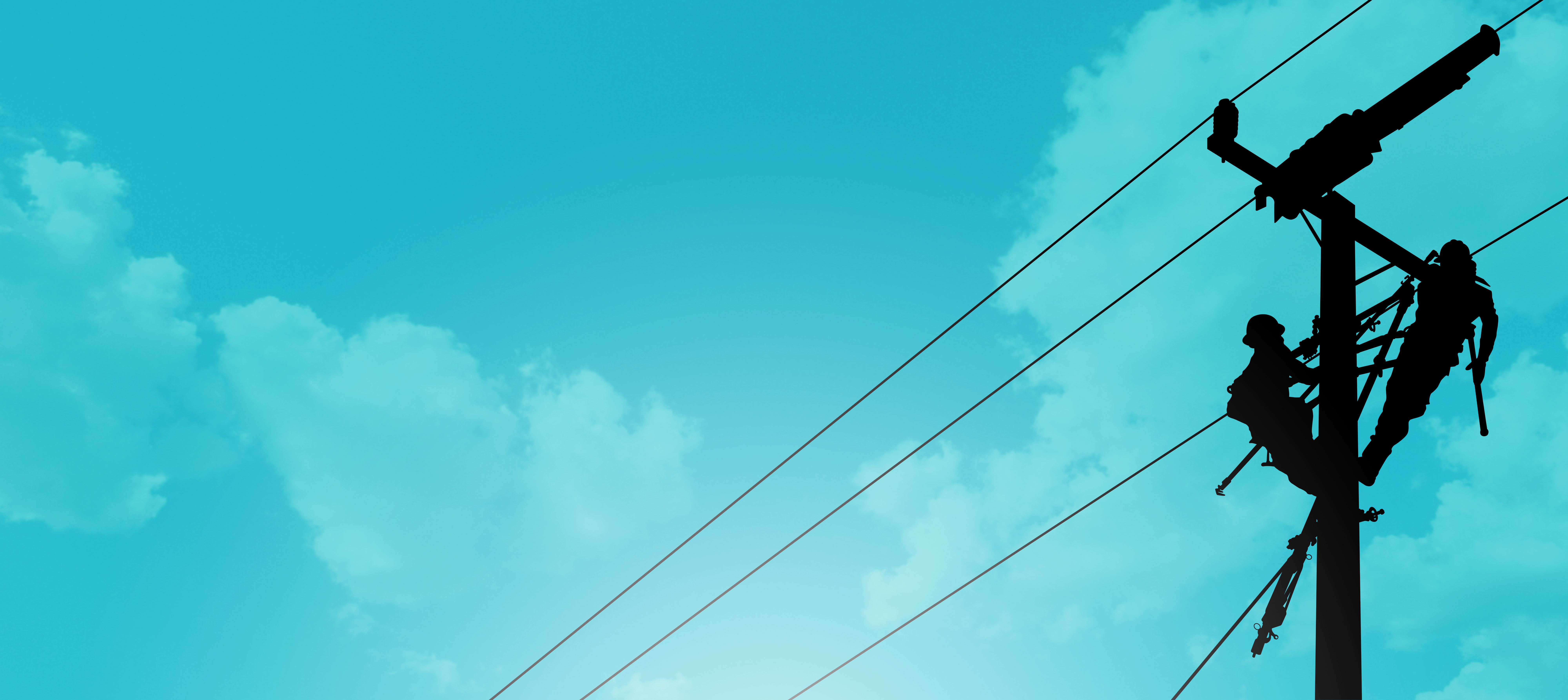 Banner image - Welcome to NRECA Online Store