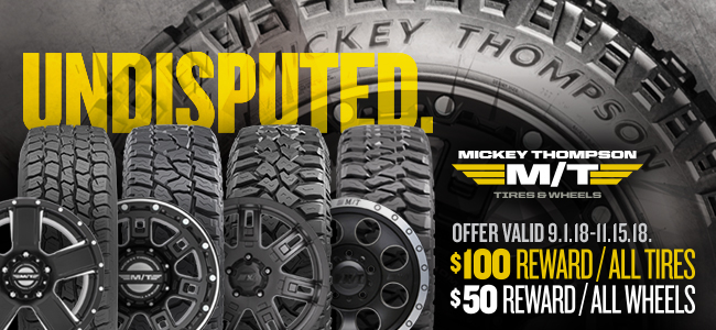 Banner image - Mickey Thompson Banner