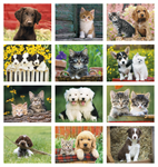 Puppies & Kittens - stapled