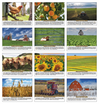 Scenic Almanac Calendar