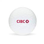 Titleist Pro V1 Golf Balls