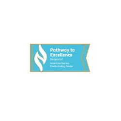 Image of Pathway to Excellence Designated Lapel Pin