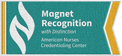 Image of Magnet - Recognition with Distinction Patch