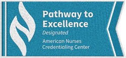 Image of Pathway to Excellence Designated - Patch