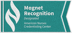 Image of Magnet - Recognition with Distinction Patch