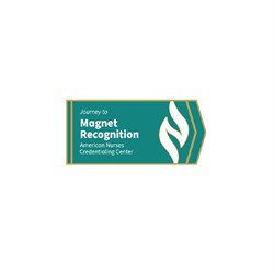 Image of Journey to Magnet Recognition Lapel Pin
