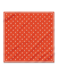 Image of Flame Silk Scarf