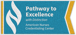 Image of Pathway to Excellence with Distinction - Patch