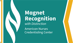 Image of Magnet Recognition with Distinction Flag