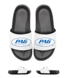 Image of PAG Slides