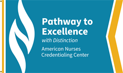 Image of Pathway to Excellence with Distinction Flag