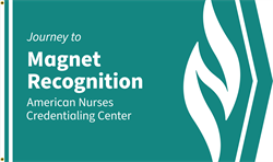 Image of Journey to Magnet Recognition Flag