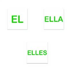 Image of Pronoun Decal - Spanish