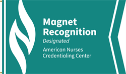 Image of Magnet Recognition Designated Flag