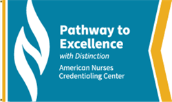 Image of PTE Long Term Care Designated with Distinction Flag