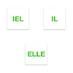 Image of Pronoun Decal - French