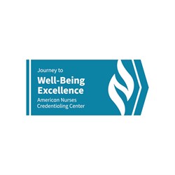 Image of ANA Journey to Well-Being Sticker, Pack of 10