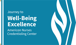 Image of Journey to Well-Being Excellence Flag