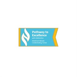 Image of Pathway to Excellence with Distinction Lapel Pin
