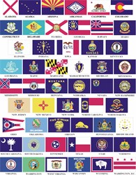Image of 5x8 Foot Nylon State Flag