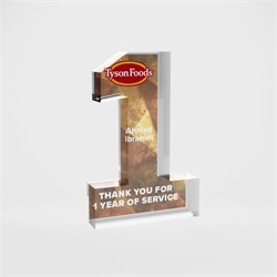 Image of 1 Year of Service Award