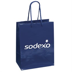 Image of Navy Gift Bag