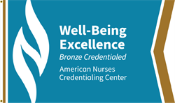 Image of Well-Being Excellence Bronze Credentialed Flag