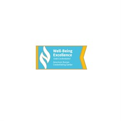 Image of Well-Being Excellence Gold Credentialed Lapel Pin