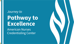 Image of Journey to Pathway Excellence Flag
