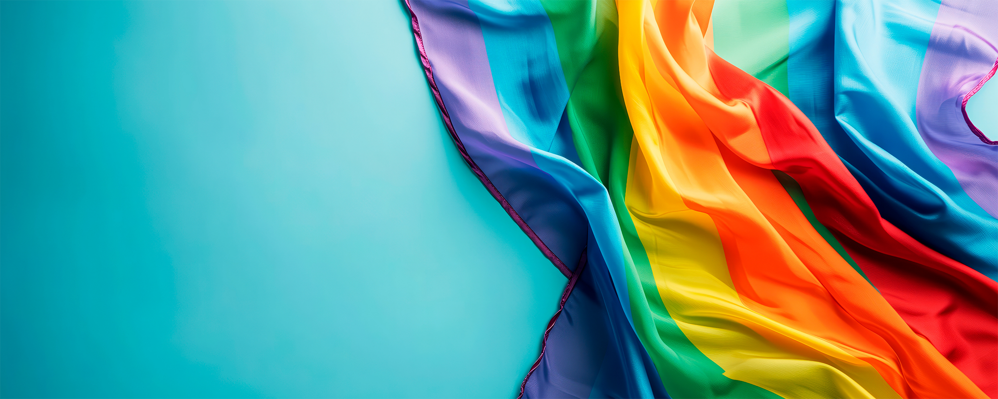 Banner image - pride collection