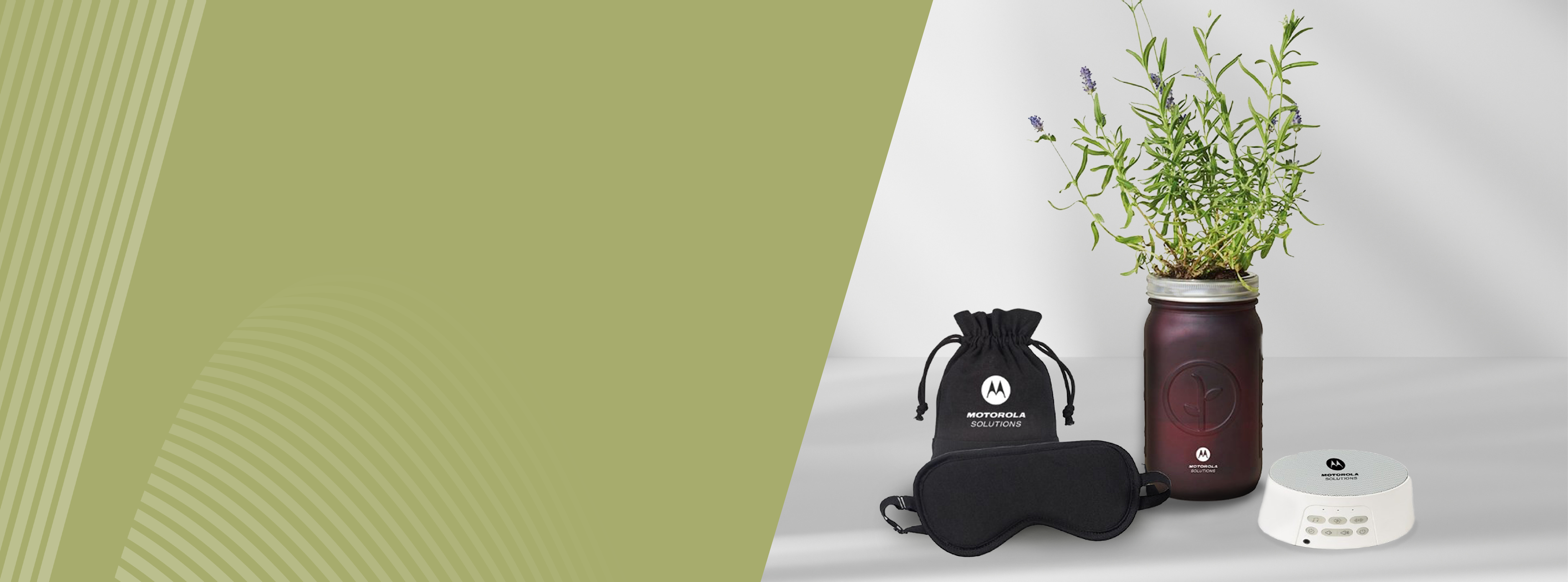 Banner image - Grow a sustainable future