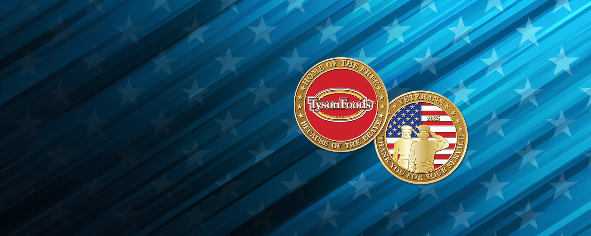 Banner image - military coins
