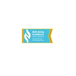 Image of Well-Being Excellence Bronze Credentialed Lapel Pin