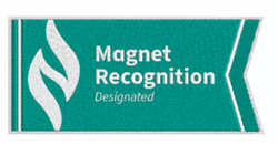Image of Magnet - Recognition Designated Patch