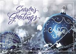 Image of Nestled In Silver Holiday Card