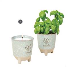 Image of Glow & Grow Live Well Gift Set