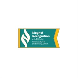 Image of Magnet Recognition with Distinction Lapel Pin