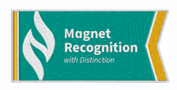 Image of Magnet - Recognition with Distinction Patch