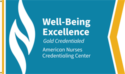 Image of Well-Being Excellence Gold Credentialed Flag