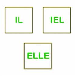 Image of Pronoun Lapel Pin - French