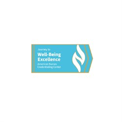 Image of Journey to Well-Being Excellence Lapel Pin