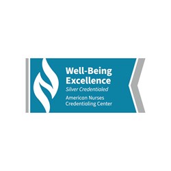 Image of Well-Being Excellence Silver Sticker, Pack of 10