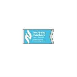 Image of Well-Being Excellence Silver Credentialed Lapel Pin