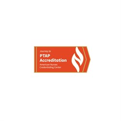 Image of Journey to PTAP Accreditation Lapel Pin