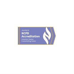 Image of Journey to NCPD Accreditation Lapel Pin