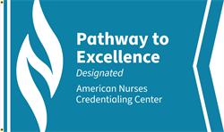 Image of Pathway to Excellence Designated Flag