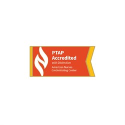 Image of PTAP - Accredited  with Distinction Lapel Pin