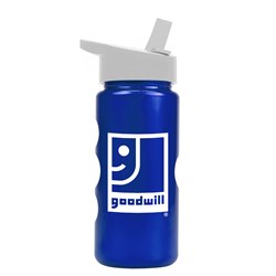 Image of Mini Peak - 22 Oz. Tritan? Metalike Bottle With Flip Straw Lid