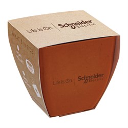 Image of Bamboo Bloom Set